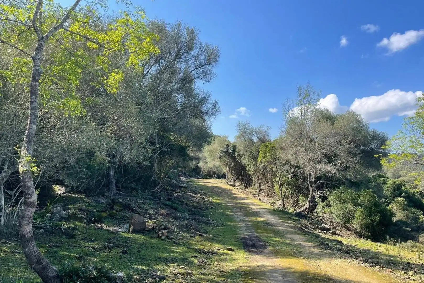 Außenansicht von Residential zum Verkauf in Castellar de la Frontera