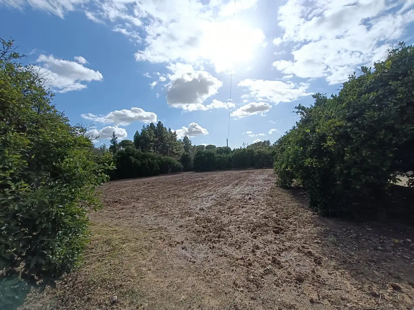 Finca rústica en venda en Jerez de la Frontera