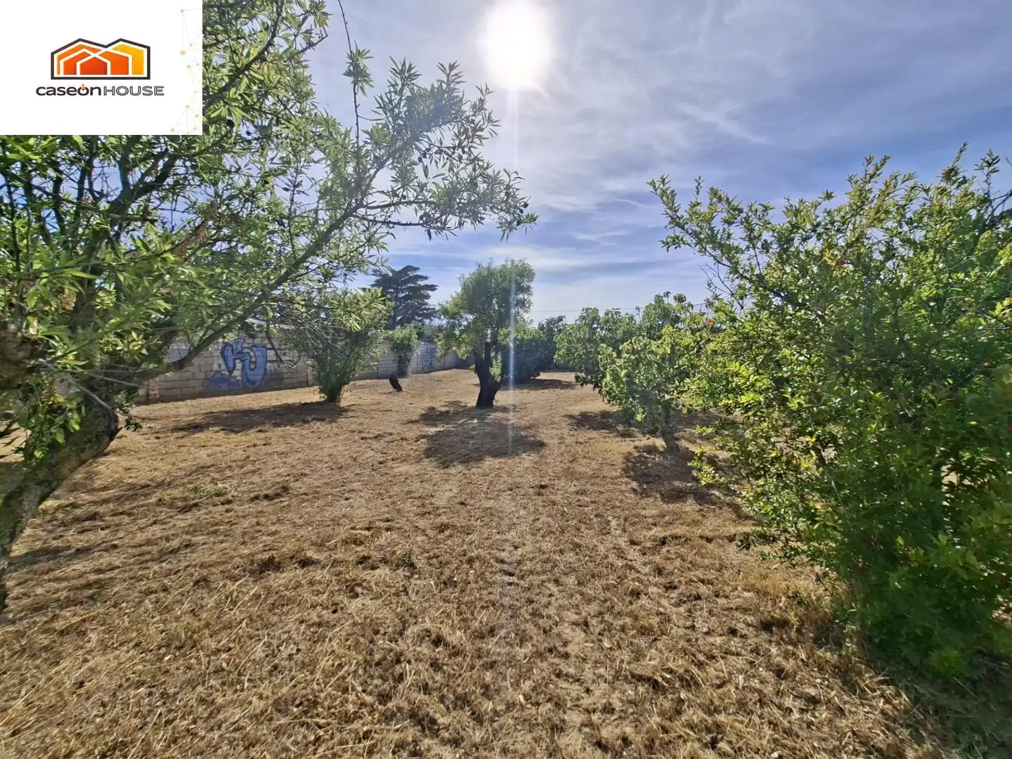 Casa o chalet en venta en Chiclana de la Frontera con Terraza y Piscina comunitaria