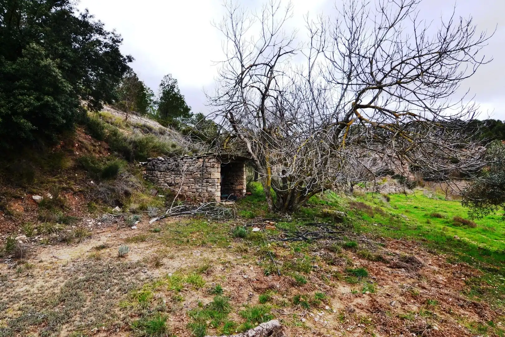 Terreno en venta en Vilalba dels Arcs