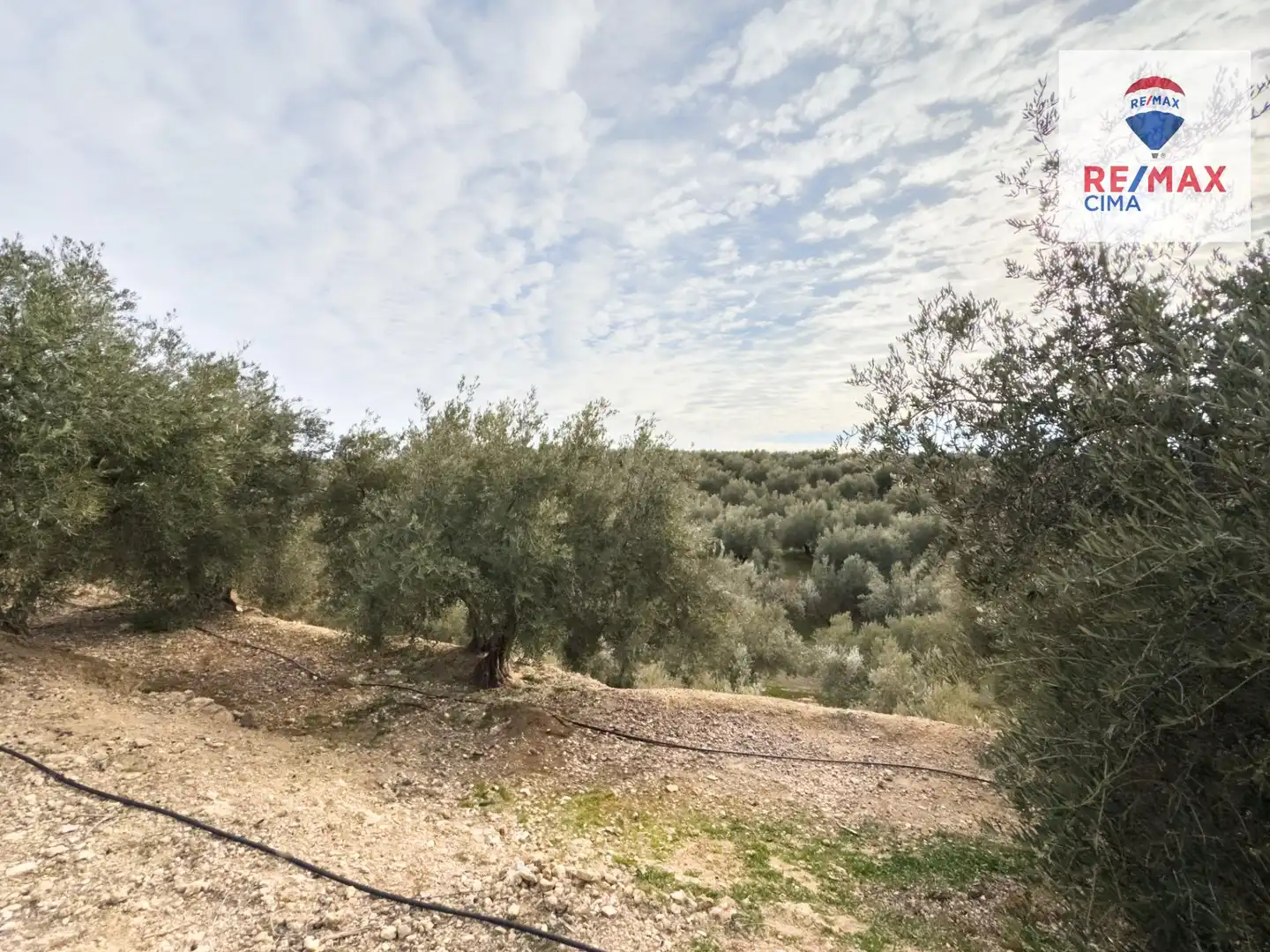 Casa o xalet en venda en Pozo Alcón amb Aire condicionat, Calefacció i Jardí privat