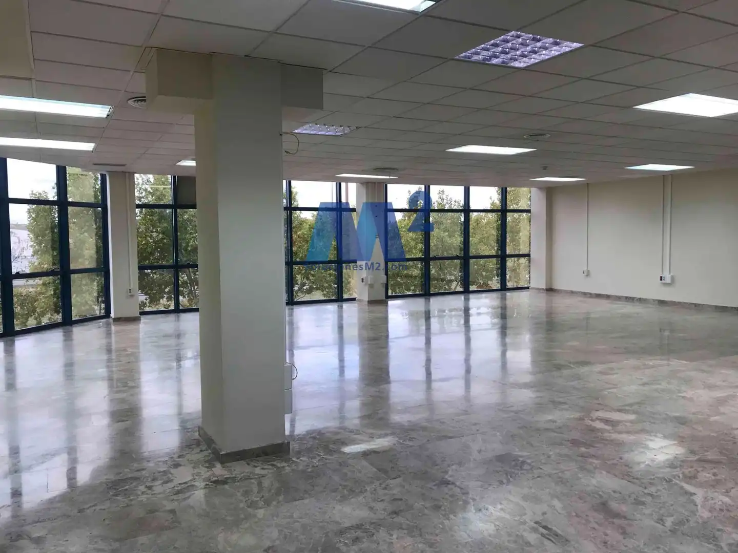 Ufficio in affitto a Castilla, imagen 10