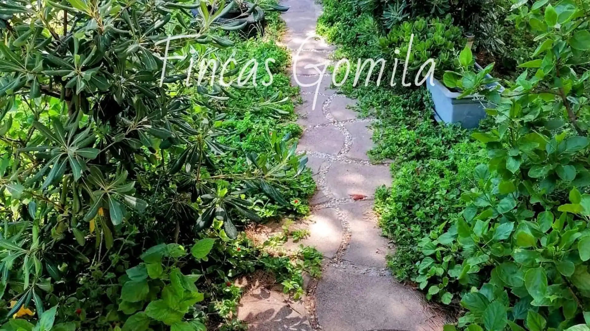 Exterior view of Apartments for sale in Es Mercadal  with Air Conditioner