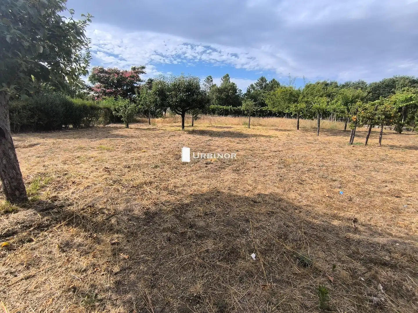 Casa rústica amb terrassa en venda a Amoeiro, imagen 32