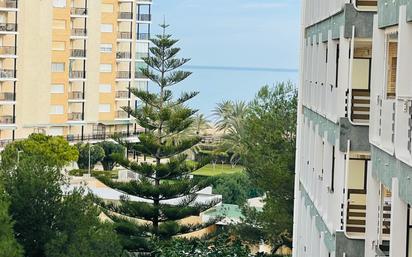 Vista exterior de Apartament en venda en Gandia amb Jardí privat, Terrassa i Piscina