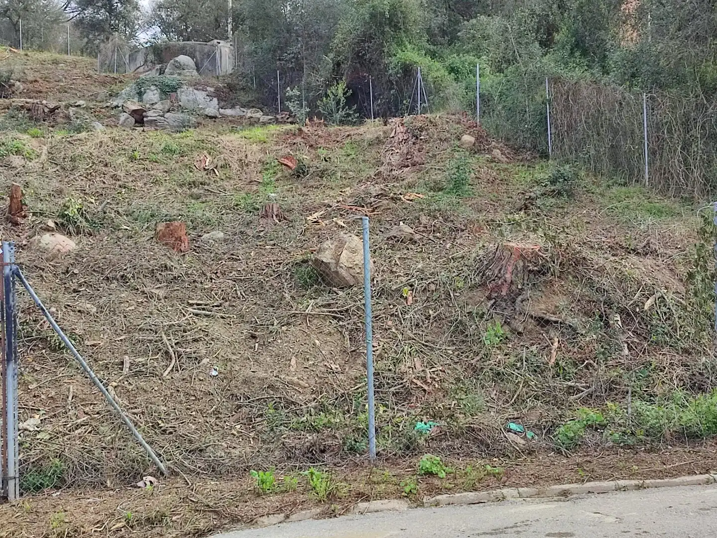 Terreny residencial en venda a mil pins 55, imagen 2
