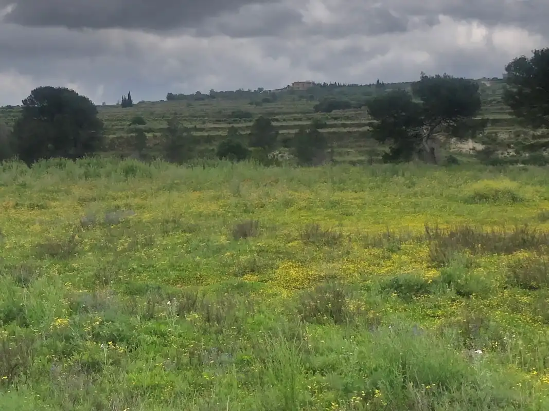 Terreno rústico en venta en Castelló de Rugat, imagen 22