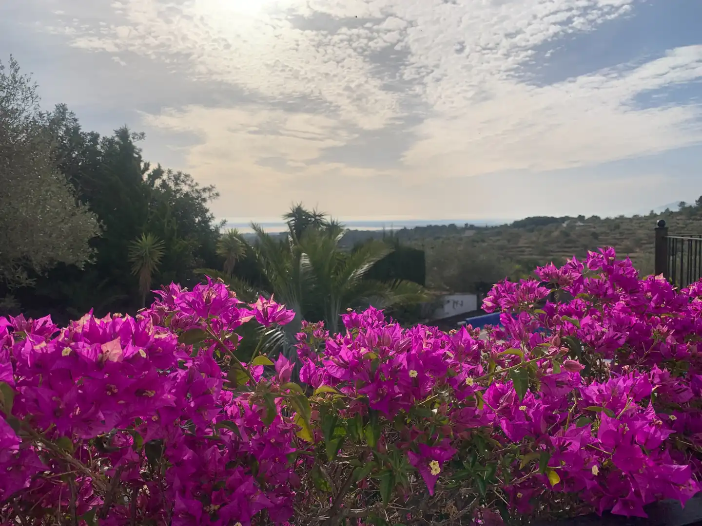 Jardín de Finca rústica en venta en El Perelló con Aire acondicionado, Calefacción y Jardín privado