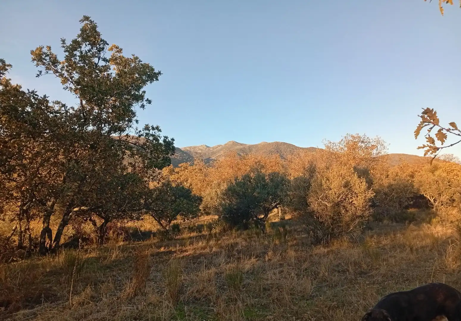Terreni e lotti in vendita a Viandar de la Vera, imagen 22
