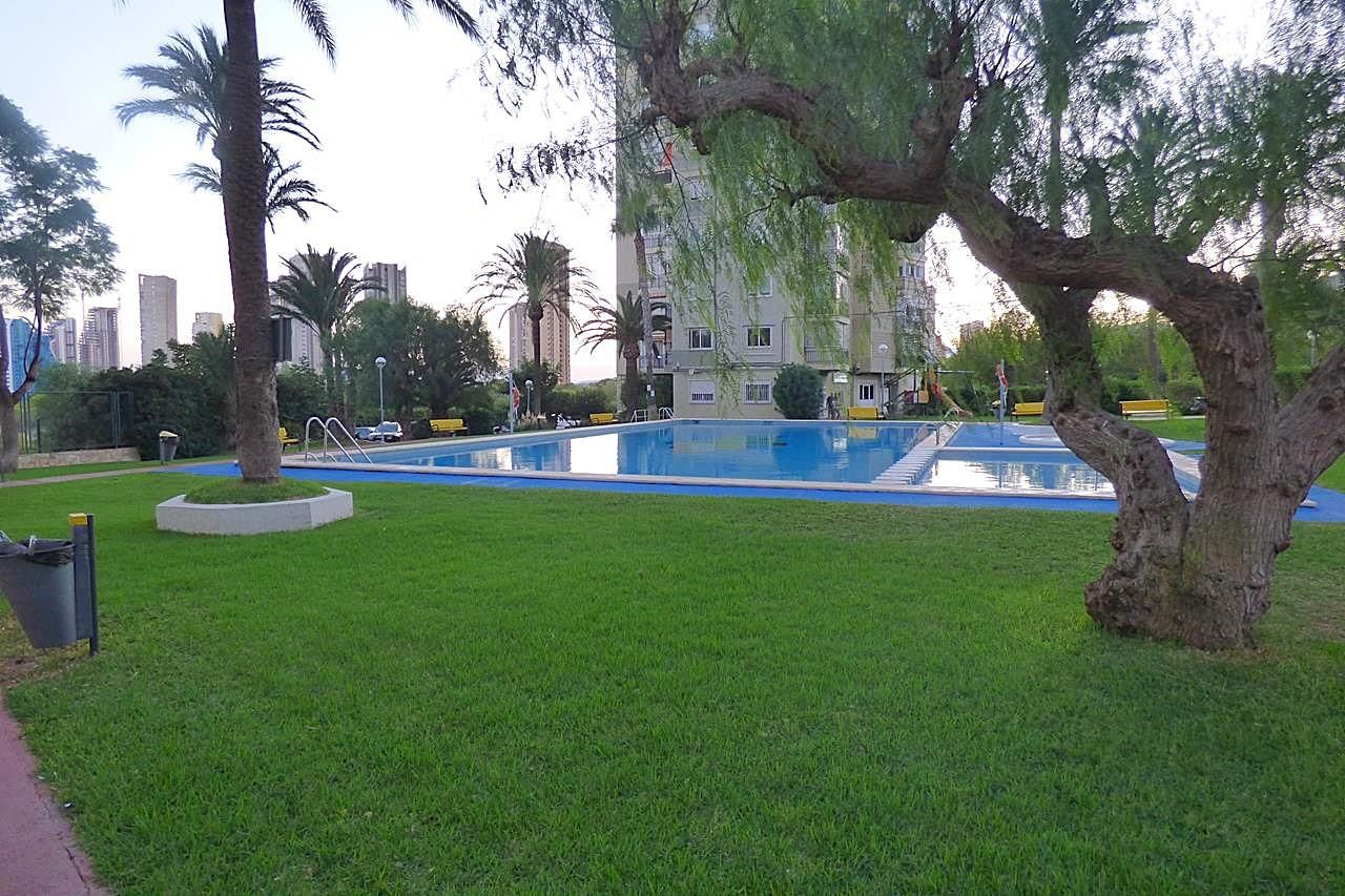 Swimming pool of Flat for sale in Benidorm  with Swimming Pool, Furnished and Community pool