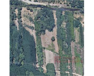 Land for sale in Salt