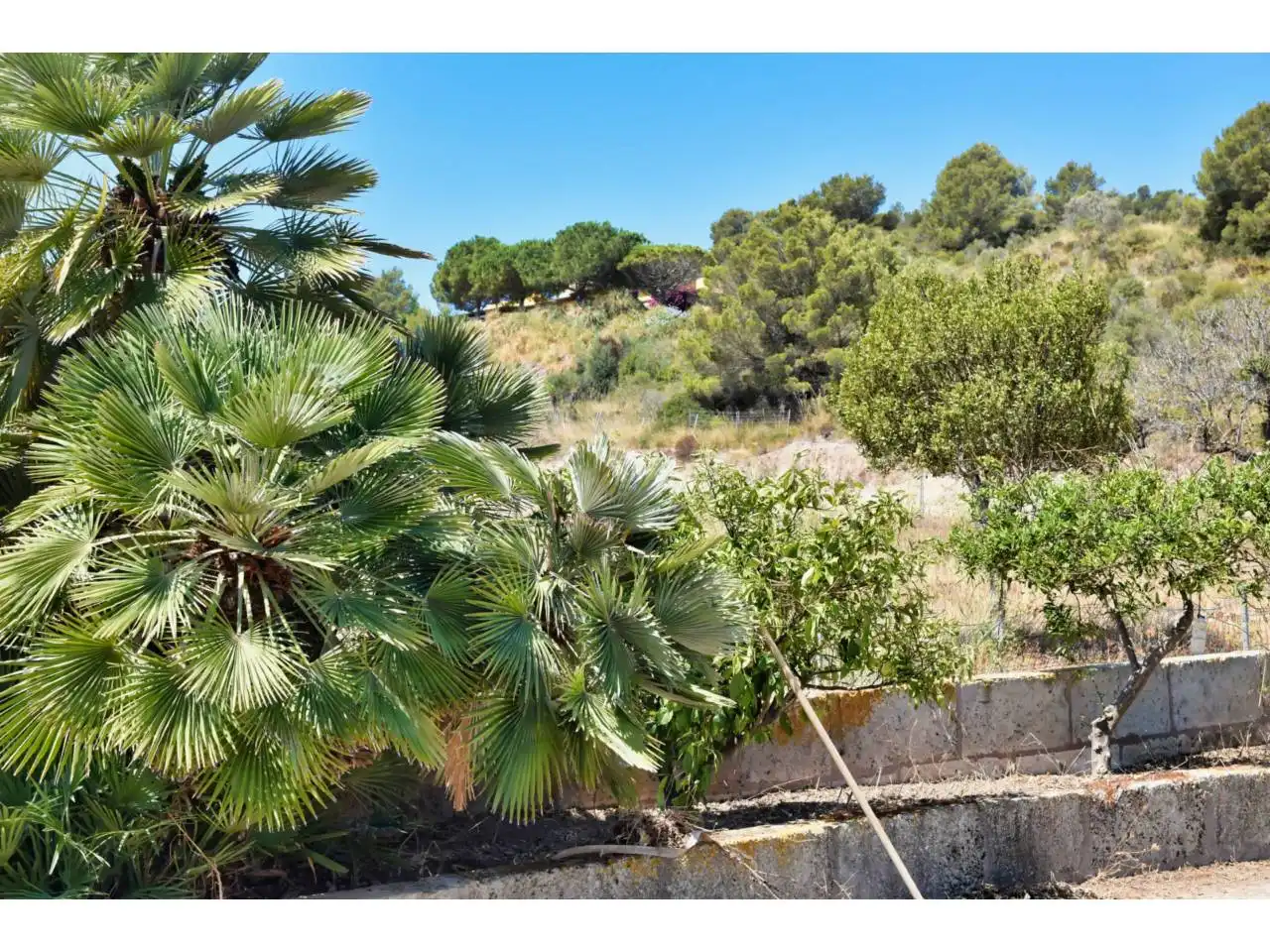 Jardí de Finca rústica en venda en Son Servera amb Jardí privat i Terrassa