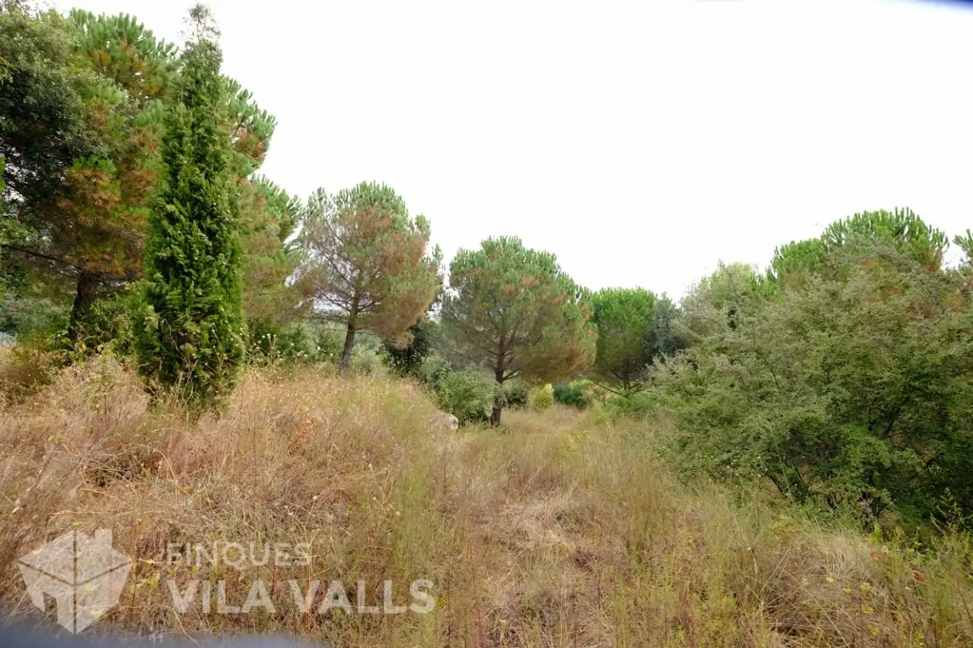 Terrenys i solars en venda a vinyetes, imagen 18
