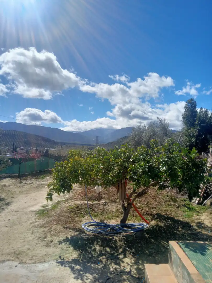 Detached house with pool for sale in Carretera Puente de la Sierra, imagen 5