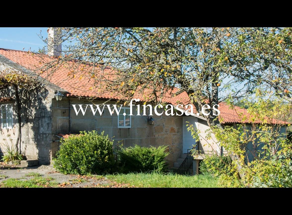 Finca rústica en venda en Monterroso