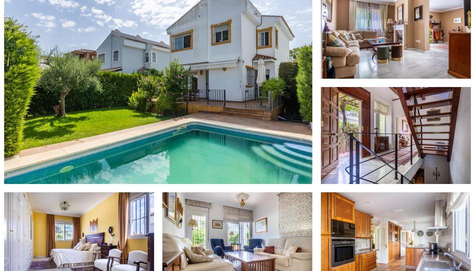 Photo 1 of House or chalet to rent in Calle Begonias, El Zaudín - Club de Golf, Sevilla