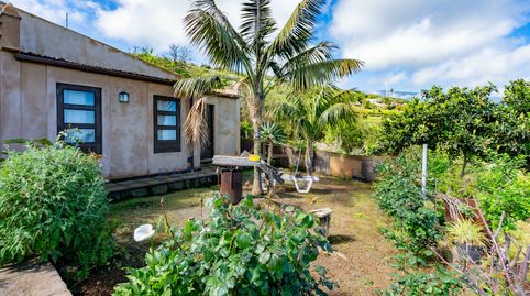 Foto 3 de Finca rústica en venta en La Perdoma - San Antonio - Benijos, La Orotava