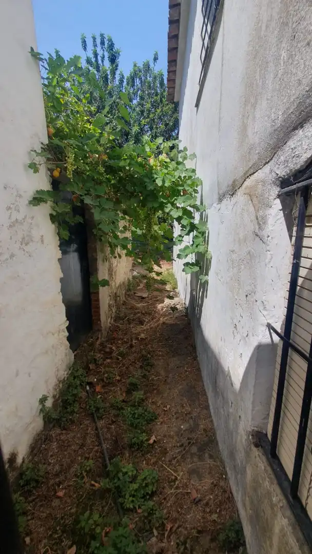 Houses for sale in Benarrabá  with Terrace