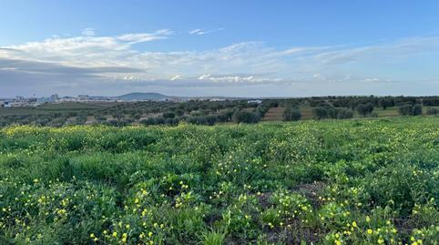 Photo 5 of Residential for sale in Sur, Mérida