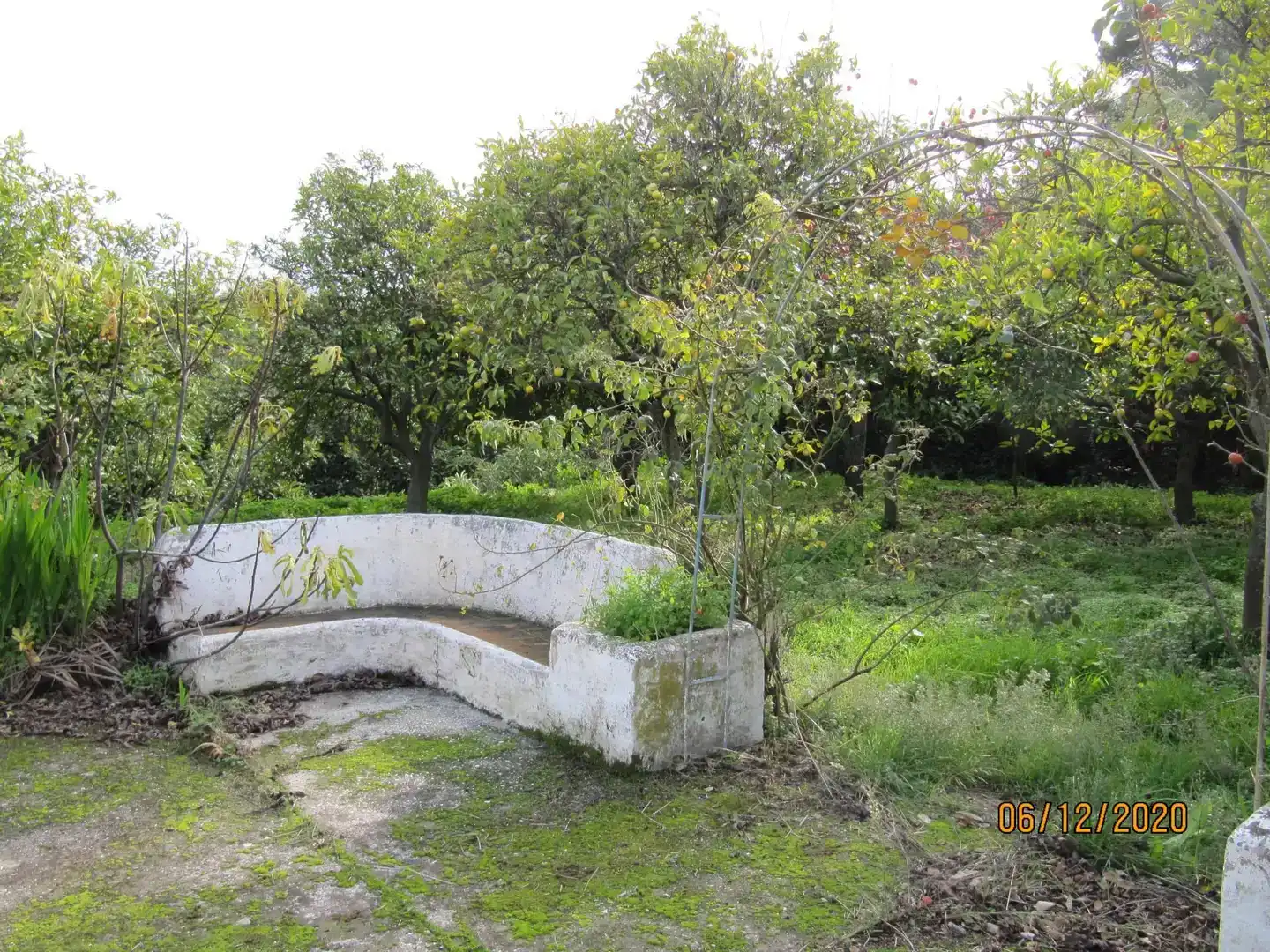 Jardín de Casa o chalet en venta en Alozaina con Jardín privado, Piscina y Amueblado