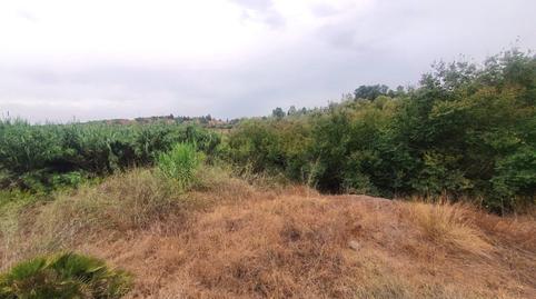 Foto 3 de Finca rústica en venda a Campanillas, Málaga