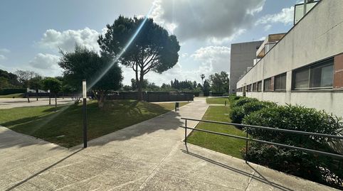 Foto 2 de Piso en venta en Chapín - Campus Universitario - Navinco, Jerez de la Frontera
