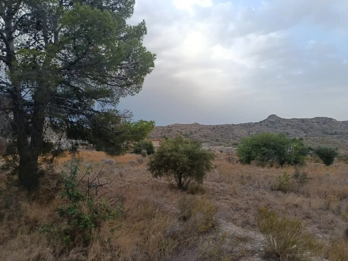 Terreny rústic en venda a Agost, imagen 4