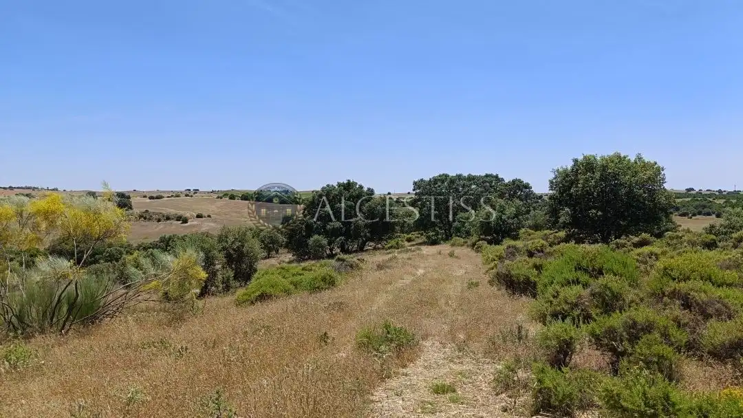 Terreno en venta en La Torre de Esteban Hambrán