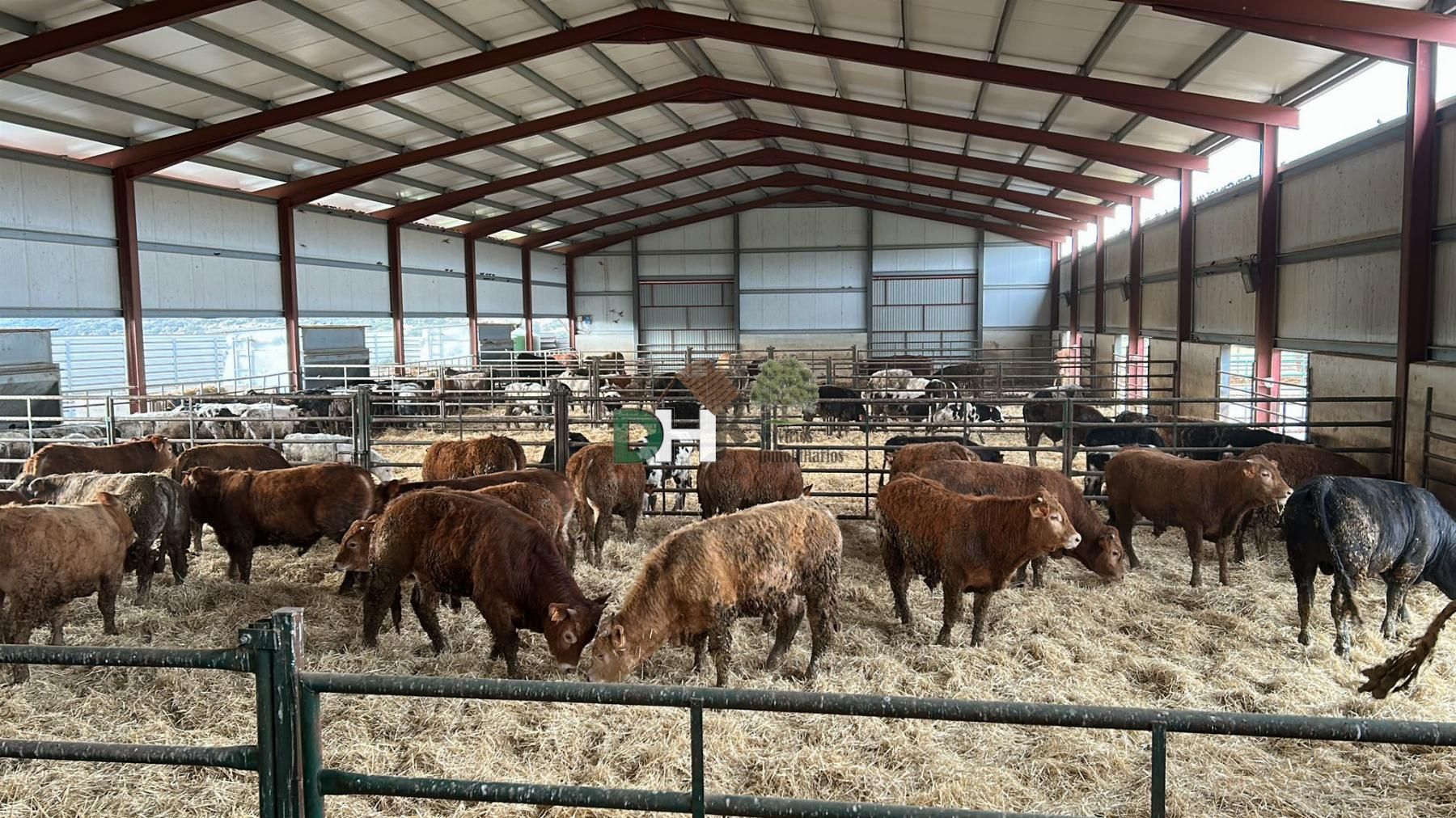 Exterior view of Residential for sale in Ávila Capital