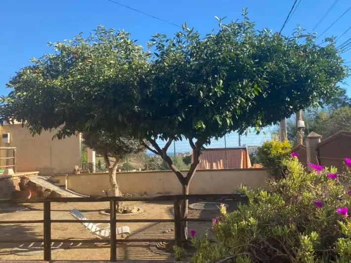 Villa mit Garten zum Verkauf in Calle Las Velas 20, imagen 5