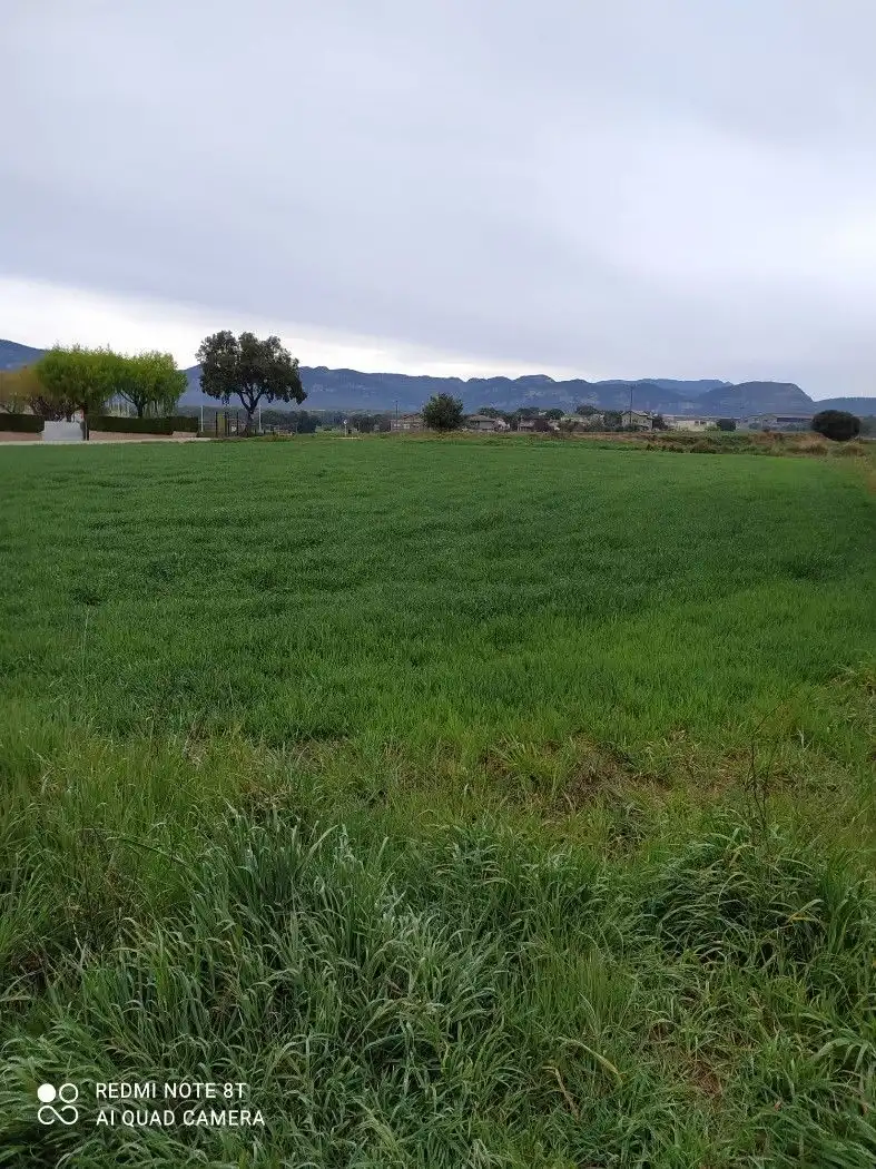 Terreno residencial en venta en Montmajor, imagen 6