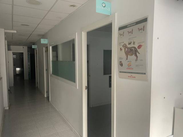 Local comercial en Alquiler en Castell - Poble Vell