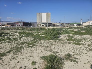 Terreny industrial en venda a Carretera de Ceutí 12
