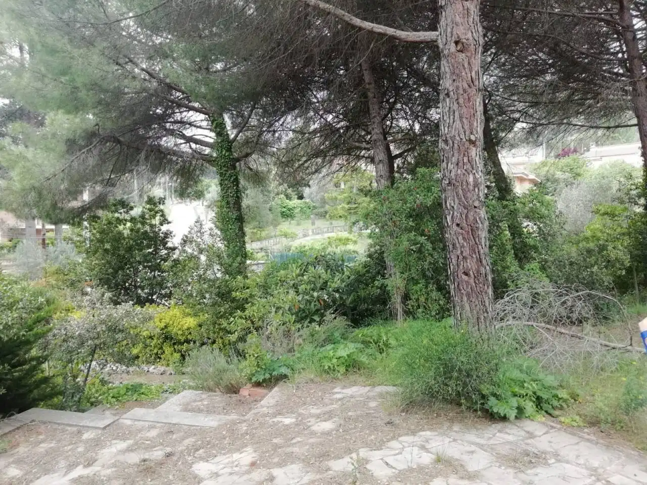 Residential land for sale in Calle Cova Simanya, imagen 21