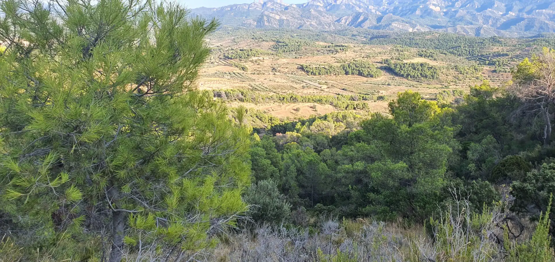Wohnbaugrundstück zum Verkauf in El Pinell de Brai, imagen 10