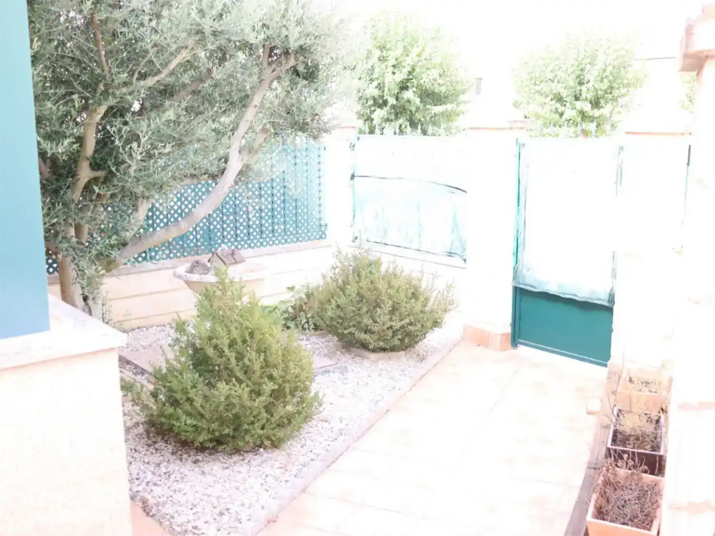Jardí de Casa o xalet en venda en Toro amb Aire condicionat