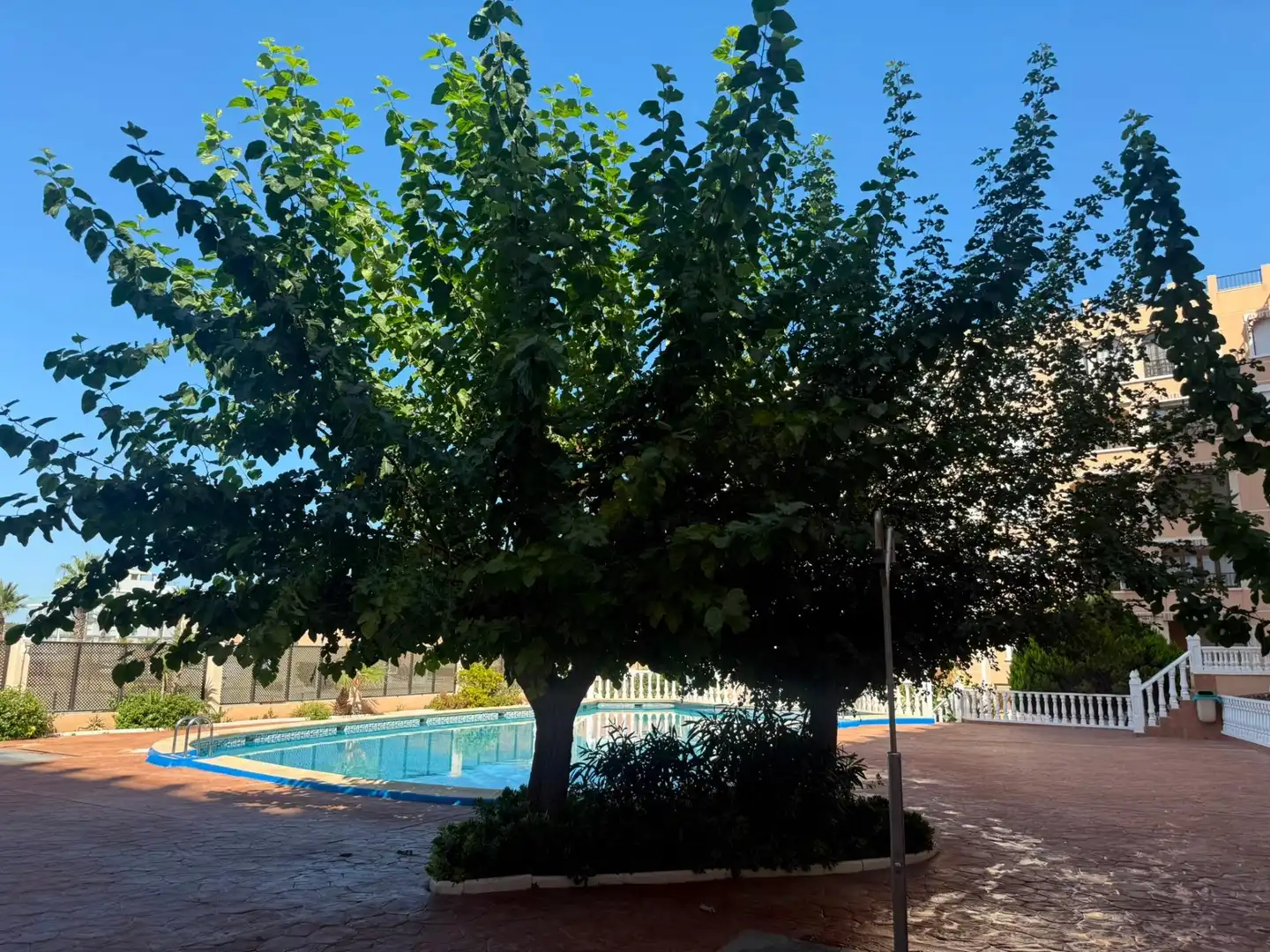Piscina de Apartamento en venta en Guardamar del Segura con Terraza, Trastero y Piscina comunitaria