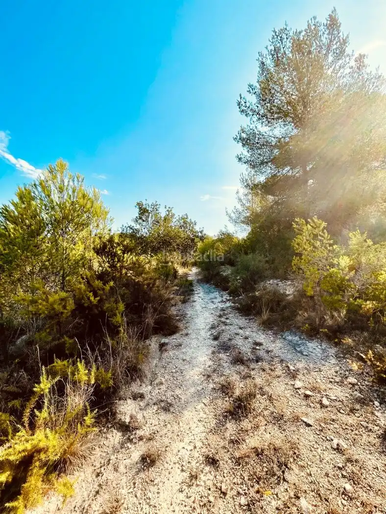 Rural land for sale in Calle Piscina 3305