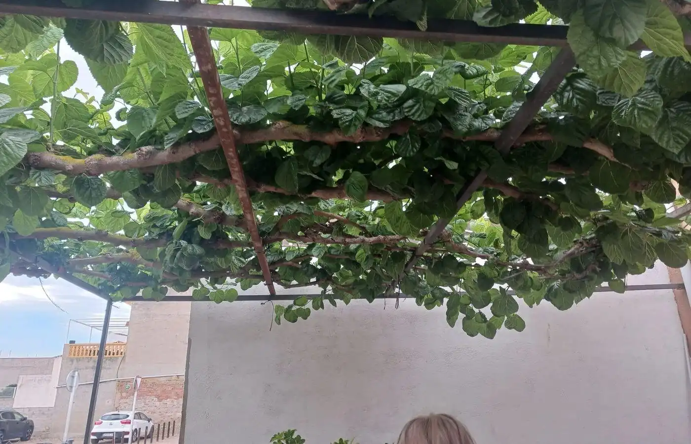 Terrassa de Casa o xalet en venda en Sant Jaume d'Enveja amb Calefacció, Jardí privat i Terrassa