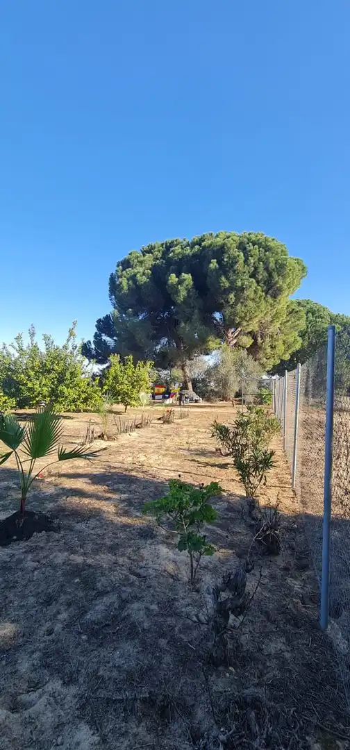 Terreny rústic en venda a Carretera ROCIANA DE CONDADO A VILLARRASA, imagen 3