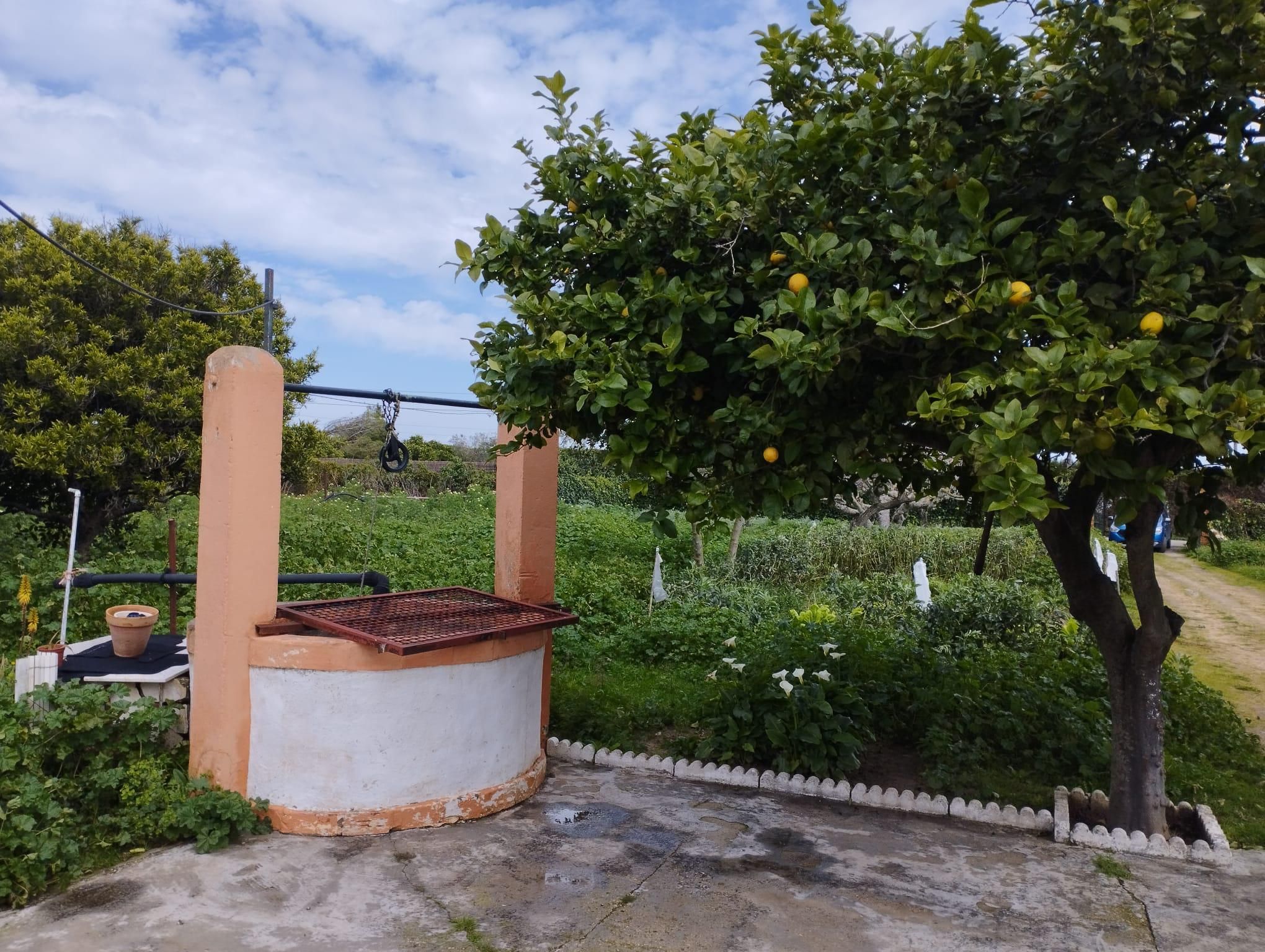 Garden of House or chalet for sale in Jerez de la Frontera  with Private garden