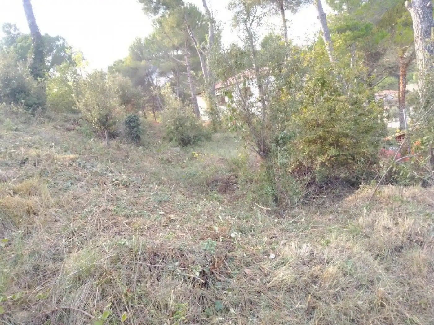 Terreny residencial en venda a Calle Romani, imagen 3