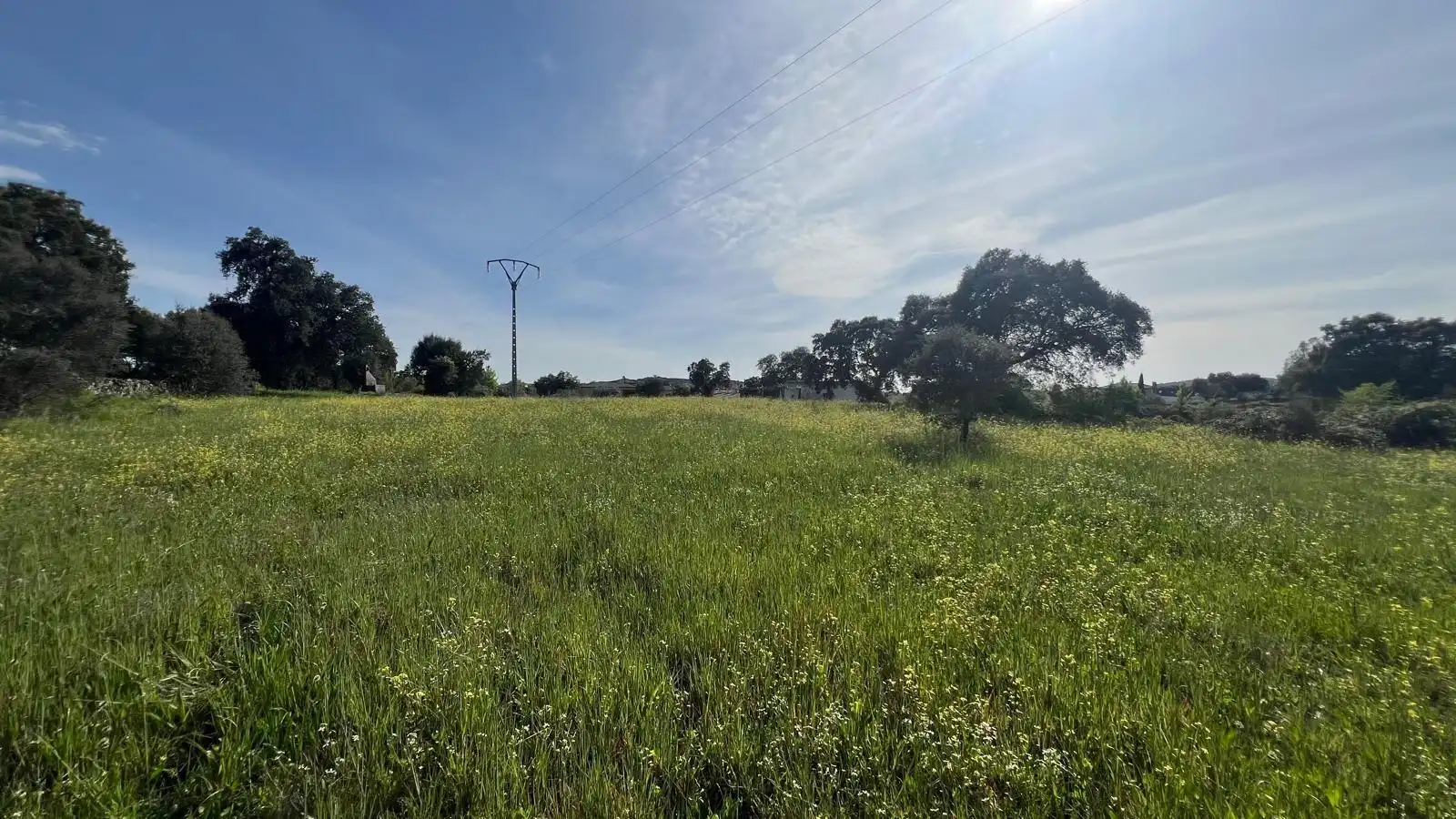 Grundstücke zum Verkauf in Montesclaros