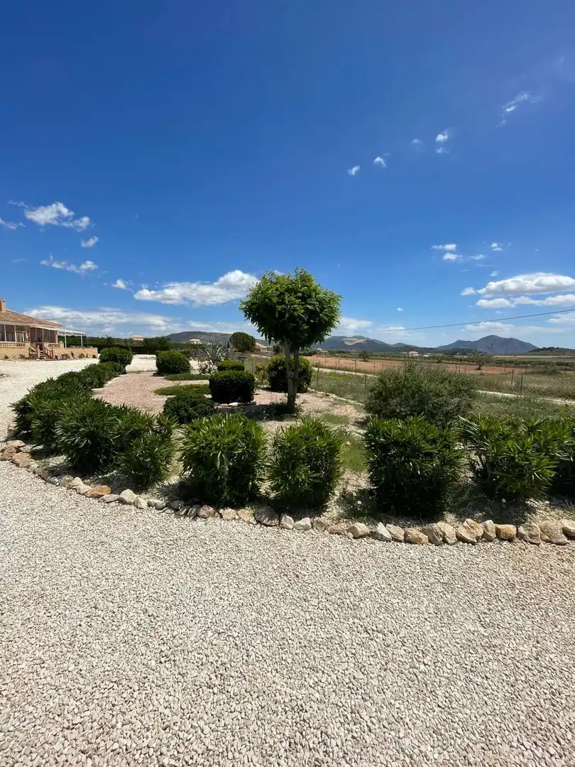 Villa à vendre à El Pinós / Pinoso, imagen 33