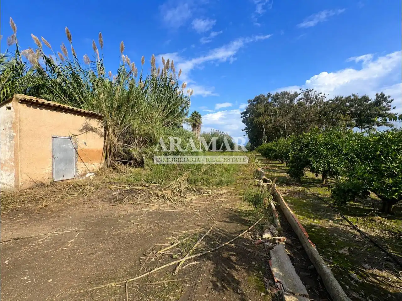 Rural land for sale in Pego, imagen 4