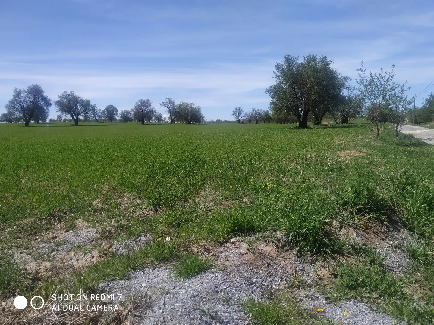 Chalet en venta en Gor, imagen 52