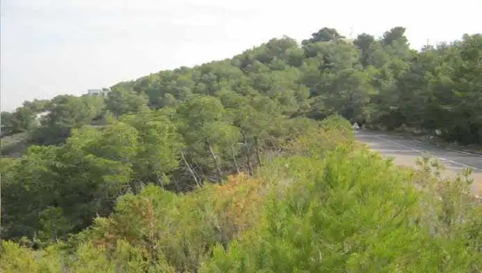 Residential land for sale in Roger De Lauria, imagen 9