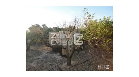 Finca Rustica  Venta Benimuslem