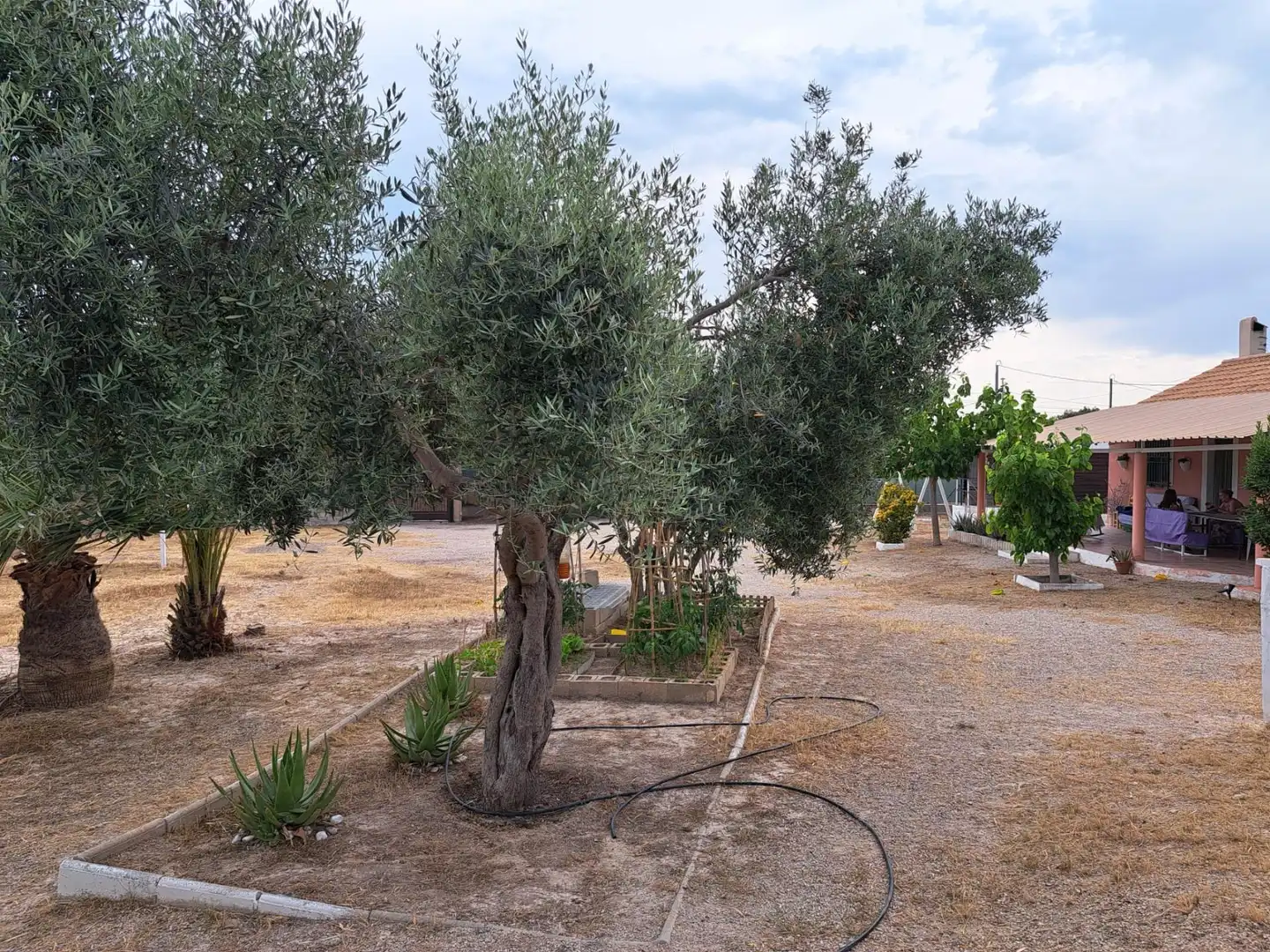 Jardín de Casa o chalet en venta en Molina de Segura con Aire acondicionado, Calefacción y Terraza