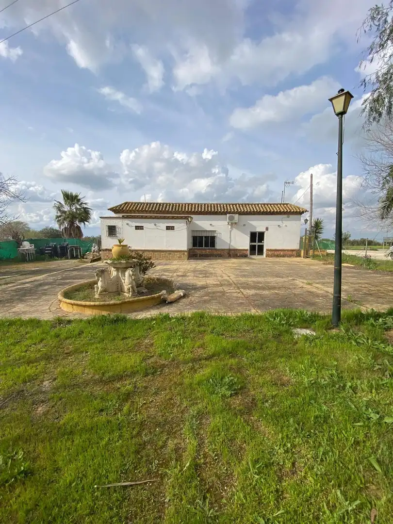 Vista exterior de Casa o xalet en venda en Marchena
